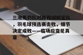 九游娱乐-三湘黑豹队对阵西城鲸鲨队，羽毛球预选赛击败，细节决定成败——临场应变见真章