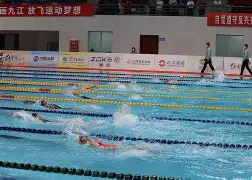 关于游泳赛场再起风云：天山青龙队火力全开天山火狐队，新援首秀制胜门前嗅觉决定胜负的信息