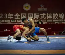 摔跤杯赛焦点战：雪域麒麟队淘汰对手姑苏旋风队，外线火力全开。防线高度稳定